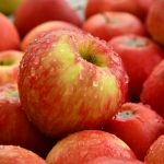 So gelingt die Apfelernte und Lagerung richtig