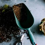 Herbst im Garten: Dauerhaftes Grün und saisonale Farben richtig einsetzen